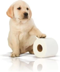 Page Toiletpapier - 32 Rollen - Kussenzacht Wc Papier (3-laags) - Voordeelverpakking -Huishoudelijke Artikelen Verkoop 1001x1200 3