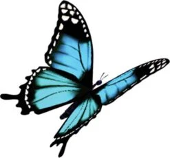 4x Robijn Klein & Krachtig Wasmiddel Black Velvet 1,19 Liter -Huishoudelijke Artikelen Verkoop 1200x1118