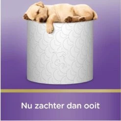 Scottex Toiletpapier - Kussenzacht Design Wc Papier - 84 Rollen -Huishoudelijke Artikelen Verkoop 1200x1197 13