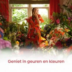 Robijn Klein & Krachtig Rosé Chique Vloeibaar Wasmiddel - 8 X 19 Wasbeurten - Voordeelverpakking 12 Robijn Klein & Krachtig Rosé Chique Vloeibaar Wasmiddel - 8 X 19 Wasbeurten - Voordeelverpakking -Huishoudelijke Artikelen Verkoop 1200x1200 461