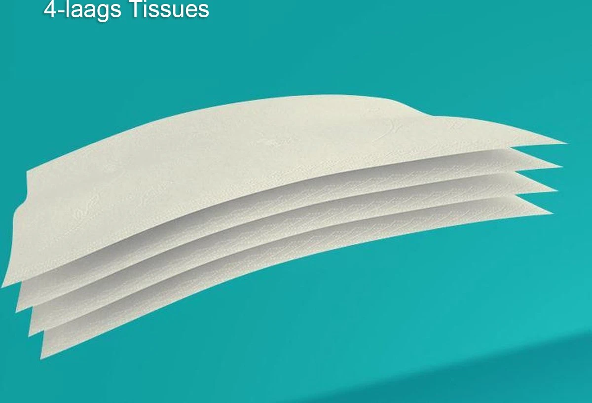 BAMTIME BamboeTissuepapier 4-laags Wc Papier - Wit Color Gebleekt 27 (3*9) Rollen 5 BAMTIME BamboeTissuepapier 4-laags Wc Papier - Wit Color Gebleekt 27 (3*9) Rollen - Afbeelding 3