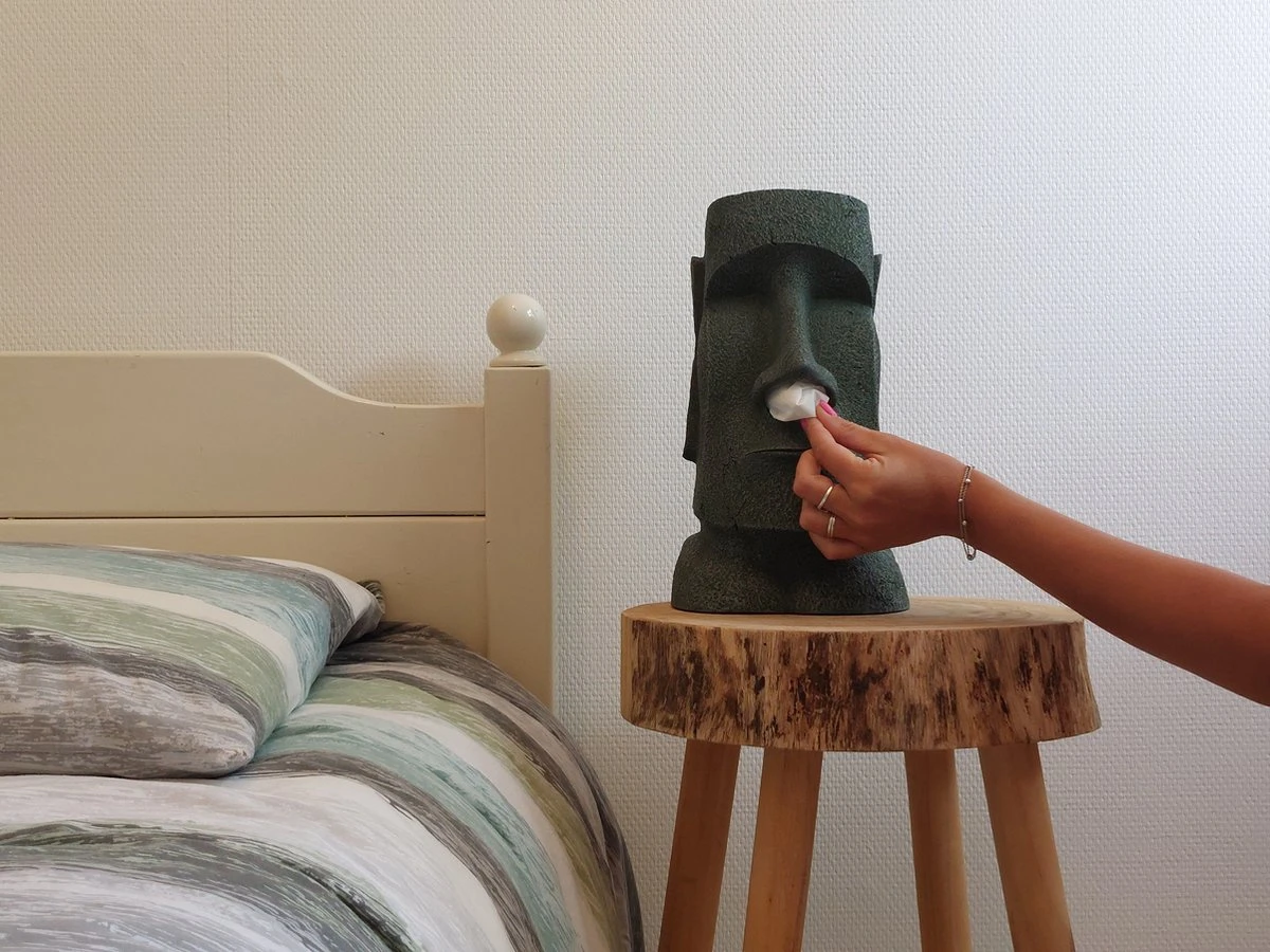 Rotary Hero® Moai - Tissue Box Houder Voor Zakdoeken Tissue Dispenser Cosmeticadoekjesbox - Voor Keuken Badkamer Slaapkamer - Rechthoekig - 18x19x31.5 Cm 17 Rotary Hero® Moai - Tissue Box Houder Voor Zakdoeken Tissue Dispenser Cosmeticadoekjesbox - Voor Keuken Badkamer Slaapkamer - Rechthoekig - 18x19x31.5 Cm - Afbeelding 15